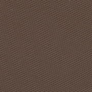 HAZELNUT.png