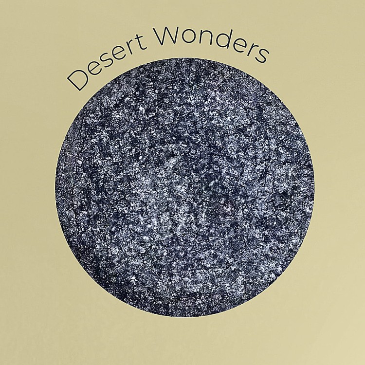 DESERT WONDERS.jpg